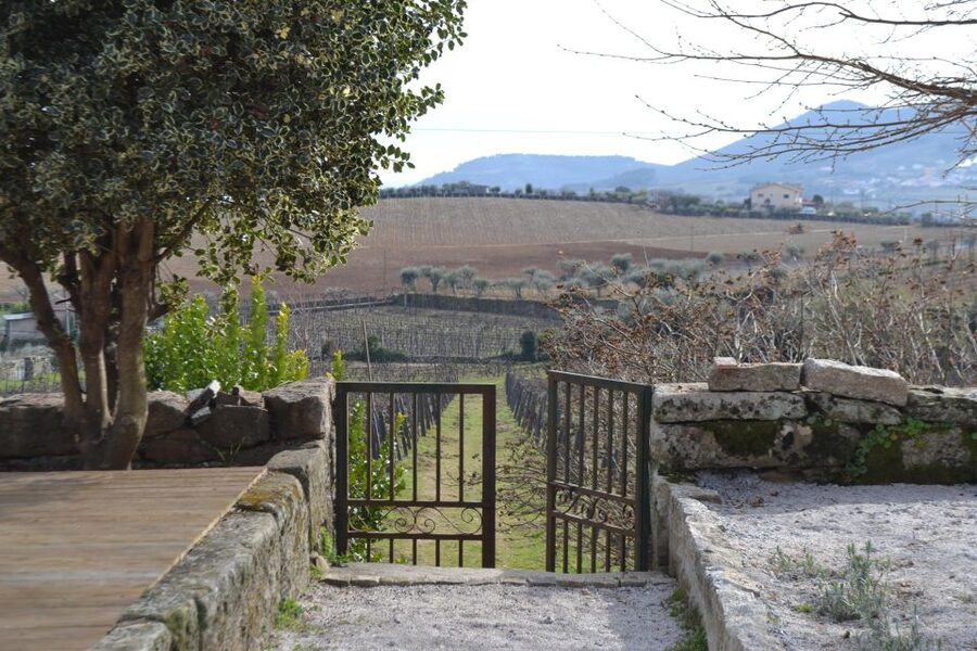 Porto: 3 Douro Valley Vineyards Tour with Lunch - Who this tour is best for, and who might want a different plan