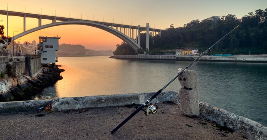 Porto: 3-Hour Bike Tour - Old Town landmarks you pass fast, but remember later