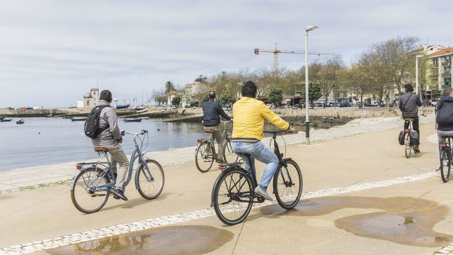 Porto: 3-Hour Bike Tour - Hitting the coast: Foz do Douro, lighthouses, and breakwater drama
