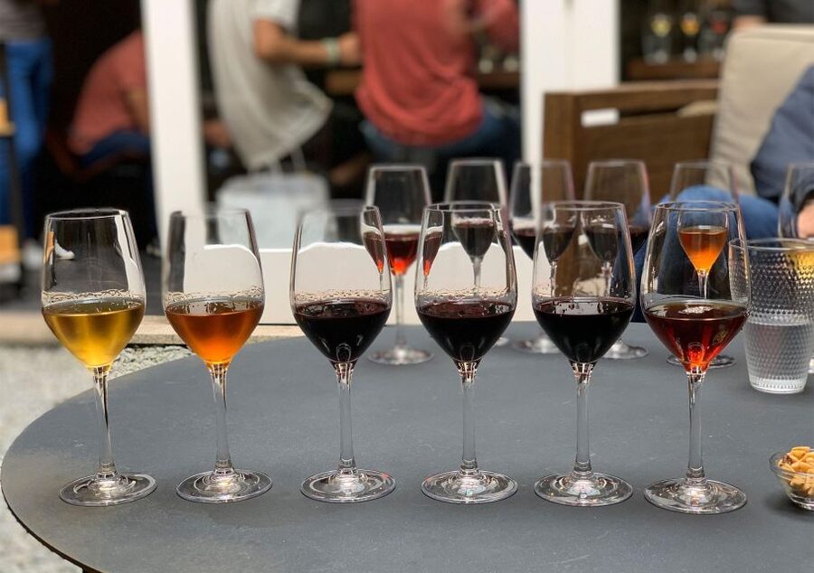 Porto: 5 Port Wine Tasting with Delicious Pairings - Your Host Makes Or Breaks It, And This One Has Serious Energy