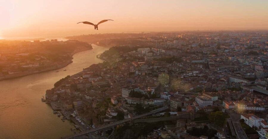 Porto: 5D Flight over de City for all family. - Key things you should know before you go