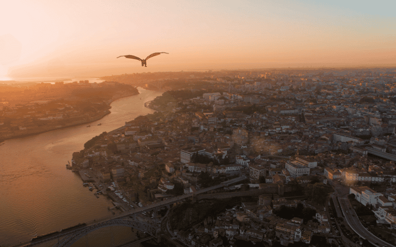 Porto: 5D Flight over de City for all family. - 5D Flight Over Porto: What You Actually Experience in Under 10 Minutes