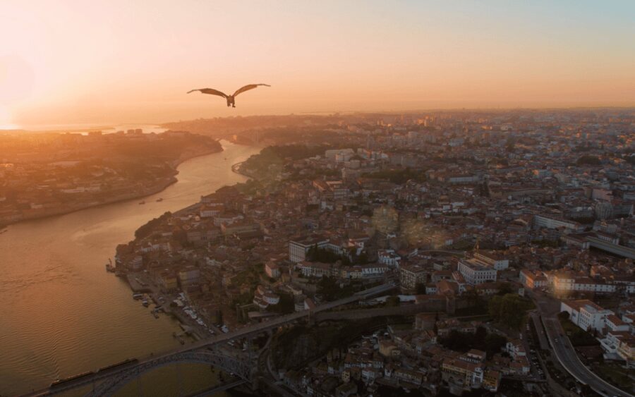 Porto: 5D Flight over de City for all family. - Smart Timing: How to Fit This Into a Porto Day