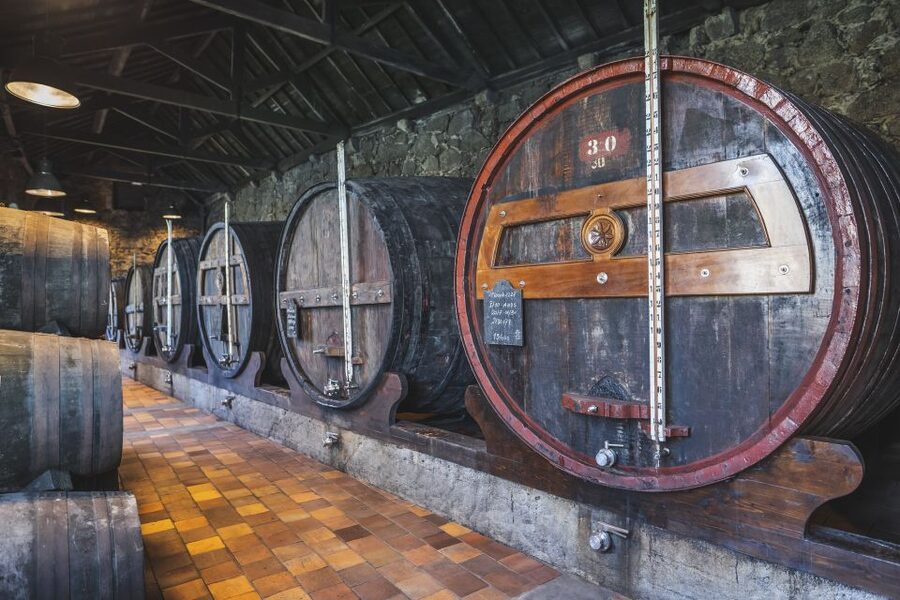 Porto: Burmester Cellar Tour with Tasting & Pairing Options - Inside the cellar: what the guided walk actually adds