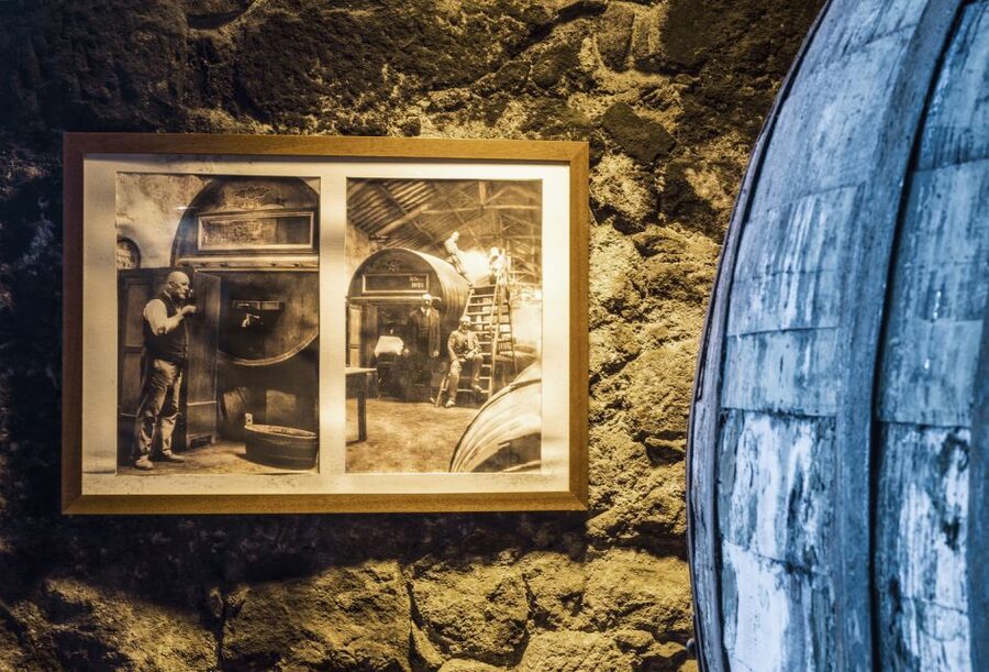 Porto: Burmester Cellar Tour with Tasting & Pairing Options - Who this tour is best for
