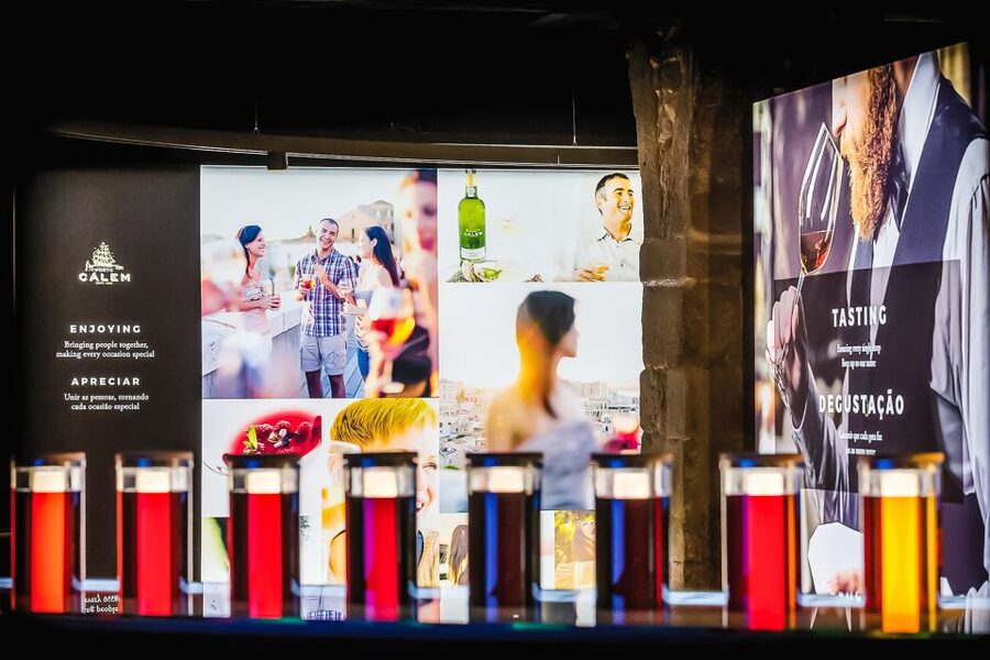 Porto: Cálem Cellar Tour, Fado Show & Wine Tasting - The 30-Minute Cálem Cellars Tour: What You Actually Learn