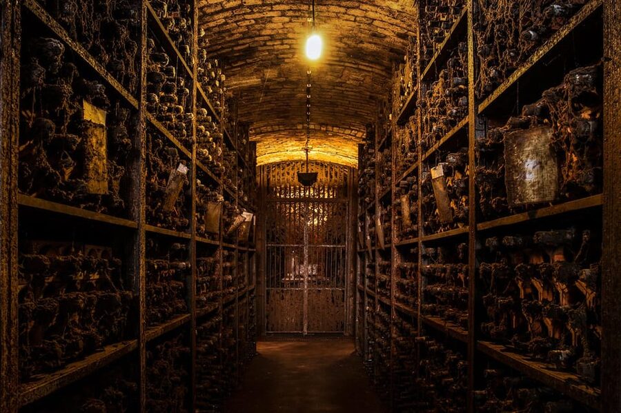 Porto: Carvalhas cellar tour at Real Companhia Velha - The Silva Reis Private Cellar: 16,000 Bottles and a Very Old Timeline