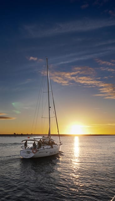 Porto: Charming Sailboat Cruise with Port Wine,Sunset Option - The sea swing: Douro estuary, the Atlantic feel, and dolphins if lucky