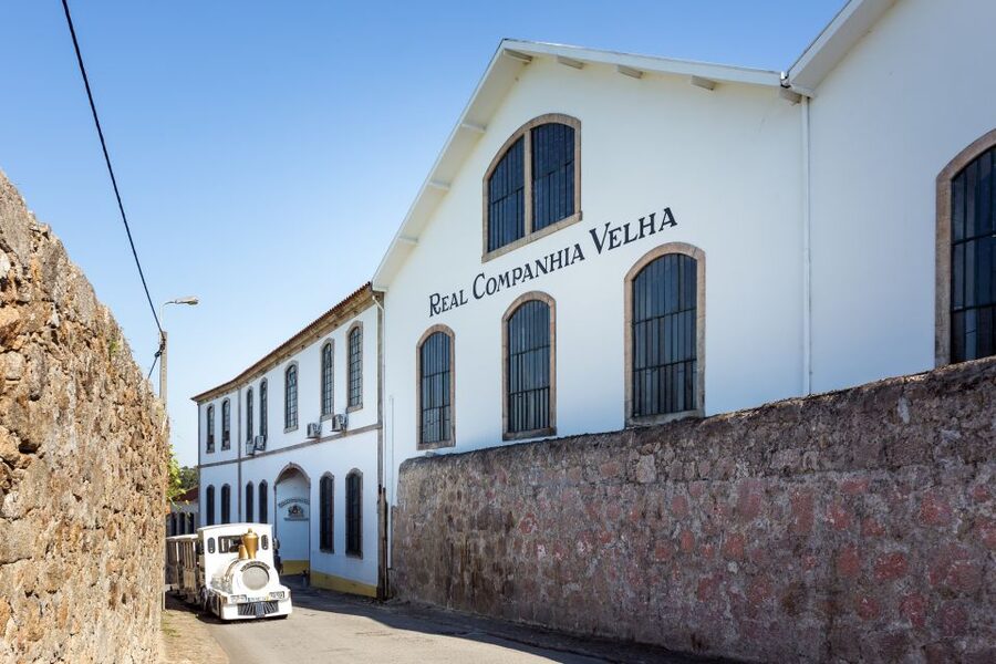 Porto: City Train Tour, River Cruise & Wine Cellar - How Long It Feels, Timing Traps, and Walking Tips