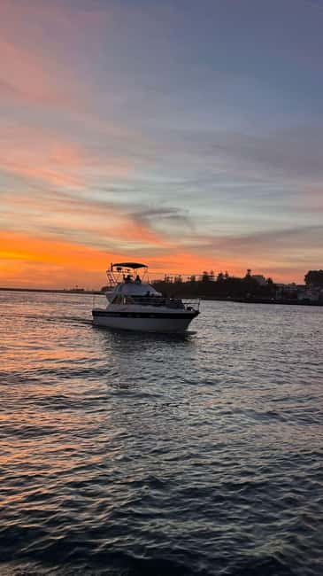 Porto: City Views or Sunset Tour with Drinks - The 2 hour route, stop by stop, and what each one is really for