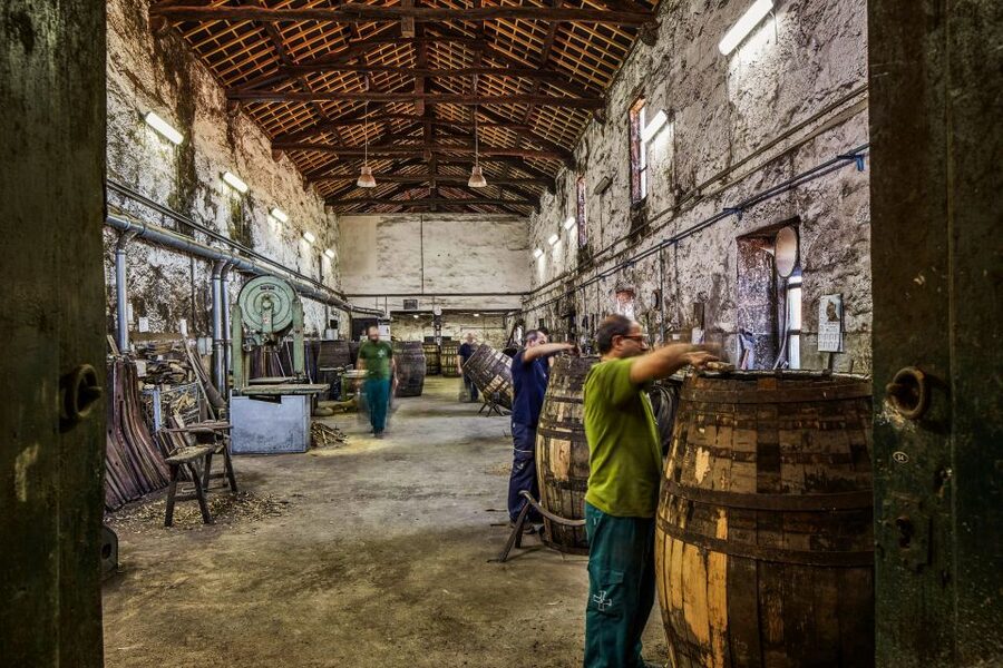 Porto: Cockburn’s Port Lodge Tour and Tasting - Choosing Your Tasting Track: Classic, Premium Chocolate, Tawny, Vintage, Super Premium