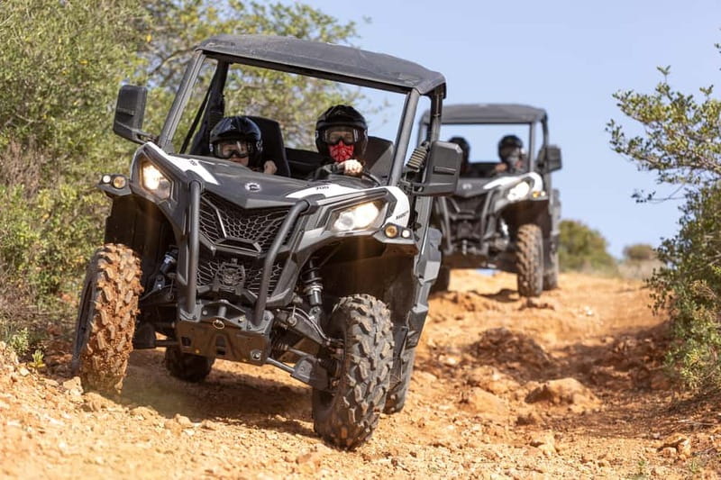 Porto: Dirt and Dust Tour by Oporto Buggy - Key Things You’ll Notice on This Buggy Ride