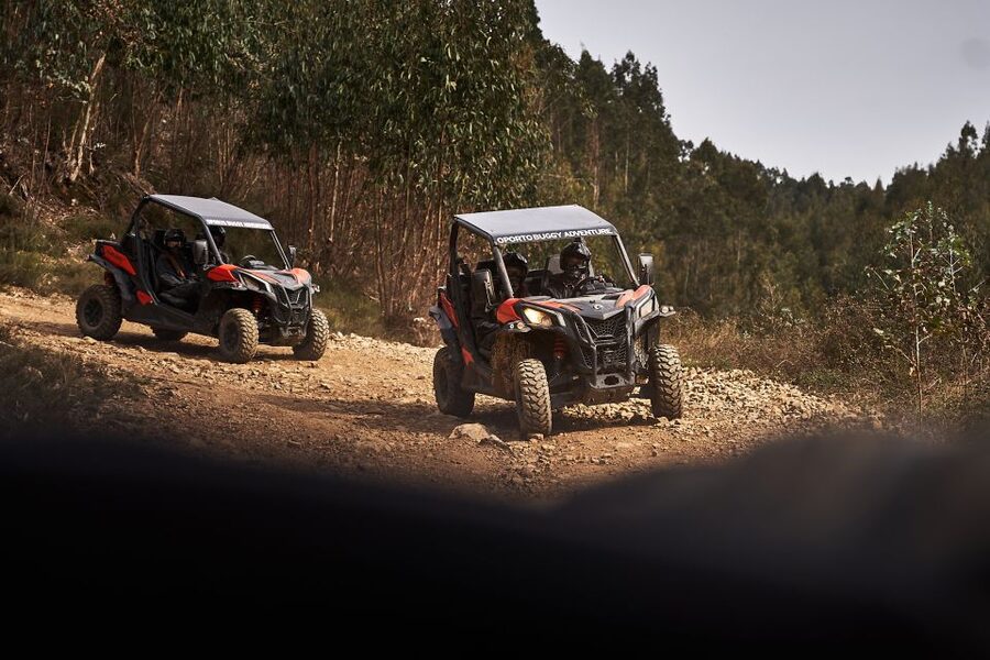 Porto: Dirt and Dust Tour by Oporto Buggy - Who Should Book This Buggy Tour, and Who Should Skip It