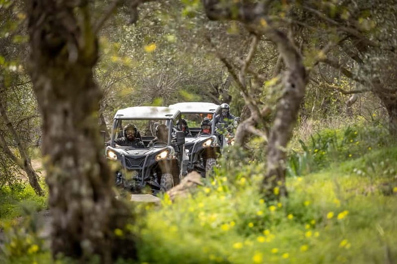 Porto: Dirt and Dust Tour by Oporto Buggy - Where You Start Near Porto, and How the Timing Works