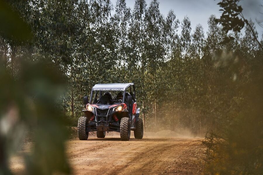 Porto: Dirt and Dust Tour by Oporto Buggy - Price and Value: $85 Per Group Up to Two