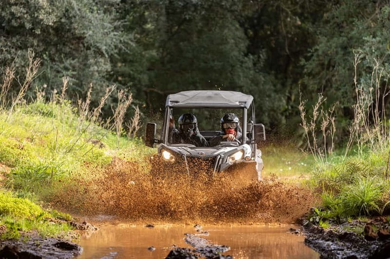 Porto: Dirt and Dust Tour by Oporto Buggy - Inside the 60-Minute Experience: Short, Intense, and Built Around Driving