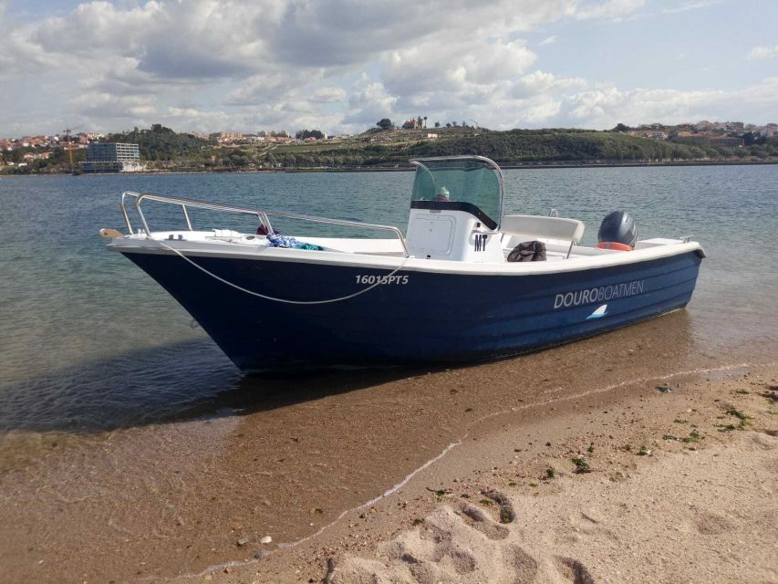 Porto: Douro River Cruise w/ Portuguese Wines & Local Host - Cost and value: is $44 per person fair for Porto?