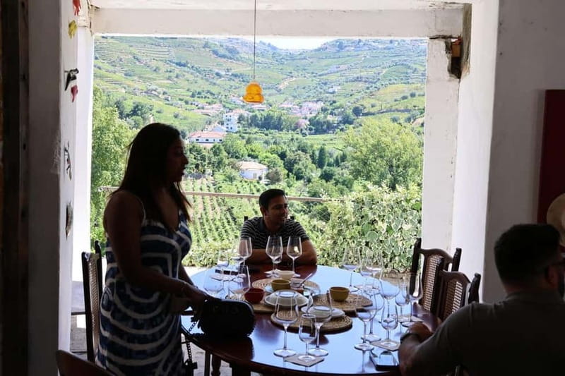 Porto: Douro Valley, 2 Wineries, Lunch, and 1-Hour Boat Tour - Second winery stops near the N222, then back to Porto