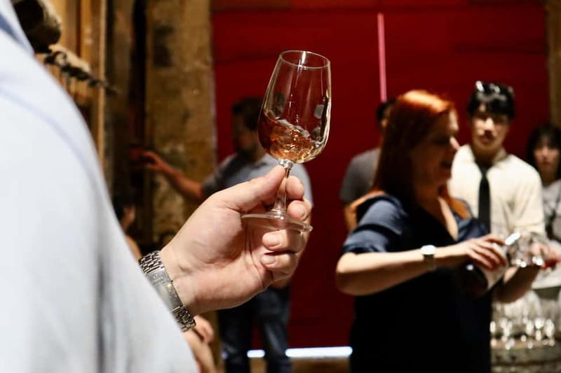 Porto: Douro Valley, 2 Wineries, Lunch & Private Boat Trip - What to Bring, and How to Avoid the Usual Day-Trip Friction
