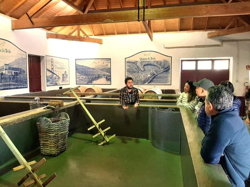 Porto: Douro Valley, 2 Wineries, Lunch & Private Boat Trip - A Douro Day Built for Wine People, Not Just Photo Stops