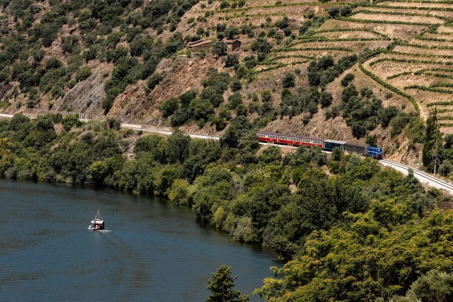 Porto: Douro Valley Full-Day Boat, Train, and Lunch Tour - Trindade Domus start, then the valley opens from the road