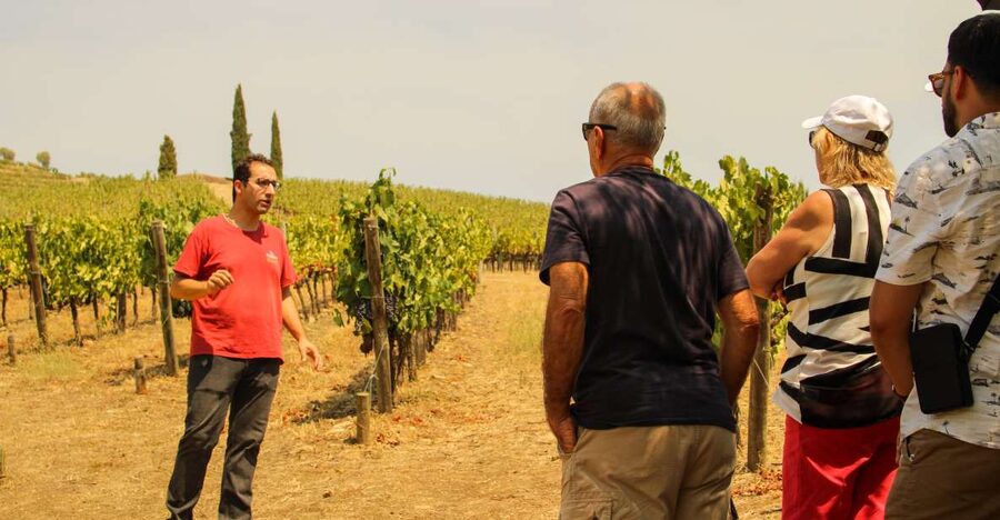 Porto: Douro Valley History & Wine Tour with Cruise & Lunch - A 10 Hour Douro Day from Porto, Built for Views and Tastings