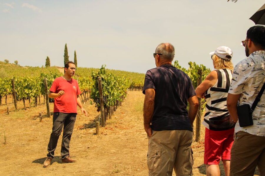 Porto: Douro Valley History & Wine Tour with Cruise & Lunch - São Leonardo da Galafura Viewpoint, Where the Vineyards Make Sense