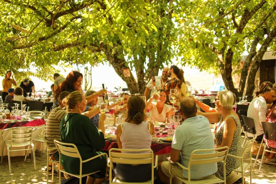 Porto: Douro Valley History & Wine Tour with Cruise & Lunch - Lunch in the Douro: The Traditional 3 Course Meal You Actually Want