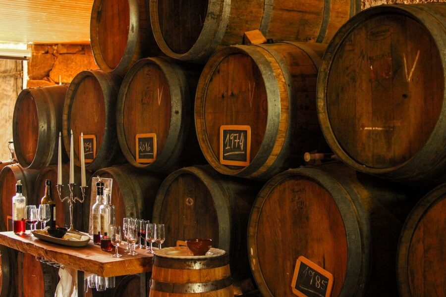 Porto: Douro Valley History & Wine Tour with Cruise & Lunch - The Best Parts for Value: You Get Transport, Food, Cruise, and Wine Under One Price