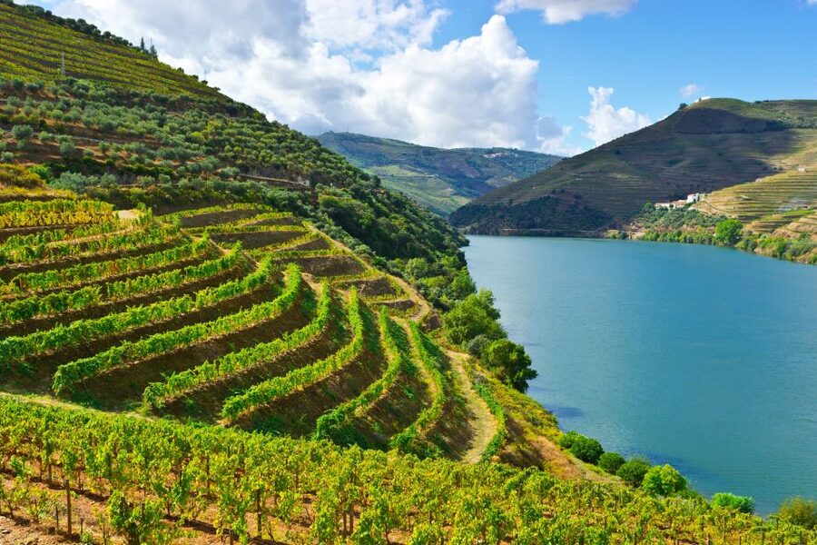 Porto: Douro Valley History & Wine Tour with Cruise & Lunch - Start at Sé de Porto, Then Aim Straight for Amarante
