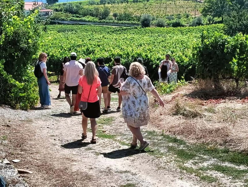 Porto: Douro Valley Tour at 2 Wineries with Lunch and Cruise - Key takeaways before you go