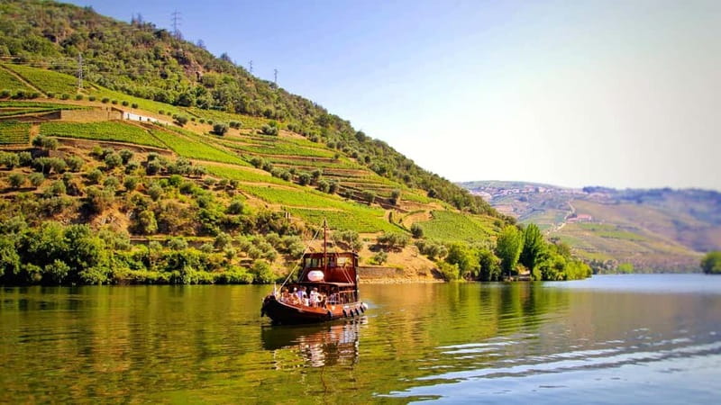 Porto: Douro Valley Tour at 2 Wineries with Lunch and Cruise - Porto to the Douro Valley, the part that makes it all click