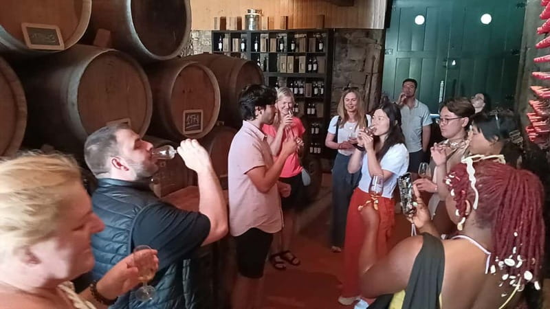 Porto: Douro Valley Tour at 2 Wineries with Lunch and Cruise - Sabrosa lunch at a vineyard, plus wine tastings that feel hands-on
