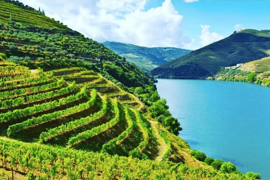 Porto: Douro Valley Tour w/ 3 Tastings, Lunch, & Opt. Cruise - From Porto to the High Douro, how the day is paced