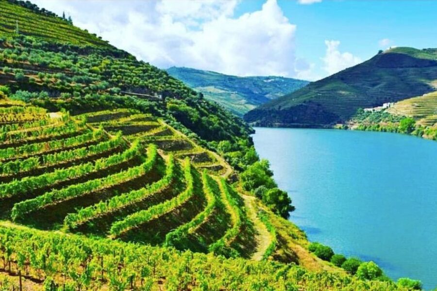 Porto: Douro Valley Tour w/ 3 Tastings, Lunch, & Opt. Cruise - Lunch at a family winery: the point where it all connects