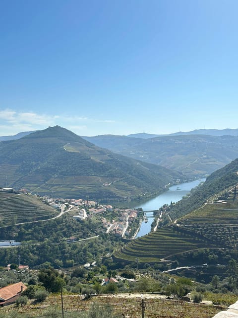 Porto: Douro Valley Tour w/ 3 Tastings, Lunch, & Opt. Cruise - Olive Oil Museum tasting: the Douro neighbor you might not expect
