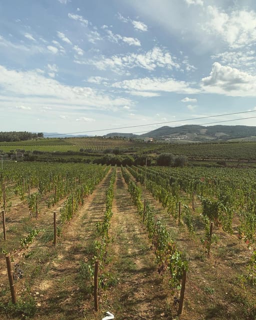 Porto: Douro Valley Tour w/ 3 Tastings, Lunch, & Opt. Cruise - Amarante for vinho verde, charcuterie, and cheese