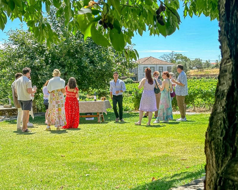 Porto: Douro Valley Tour with 2 Wineries, Lunch and Cruise - Porto to Douro Valley, Why This Small-Group Format Feels Right