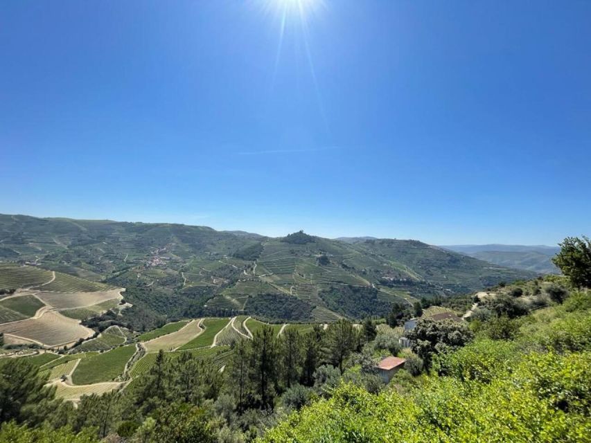 Porto: Douro Valley Tour with 2 Wineries, Lunch and Cruise - Meeting at Trindade Metro Station and Getting Out of Town Smoothly