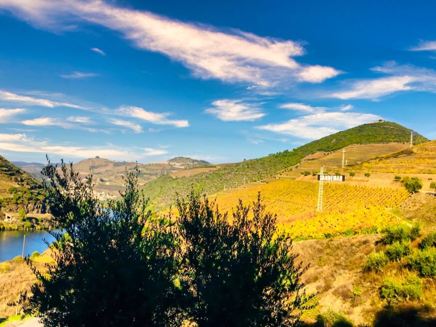 Porto: Douro Valley Tour with 2 Wineries, Lunch and Cruise - Miradouro São Cristovão: The View Stop That Helps the Day Click