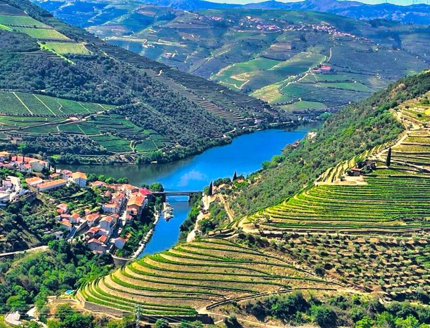 Porto: Douro Valley Tour with 2 Wineries, Lunch and Cruise - Price and Value: Why $117 Can Make Sense Here