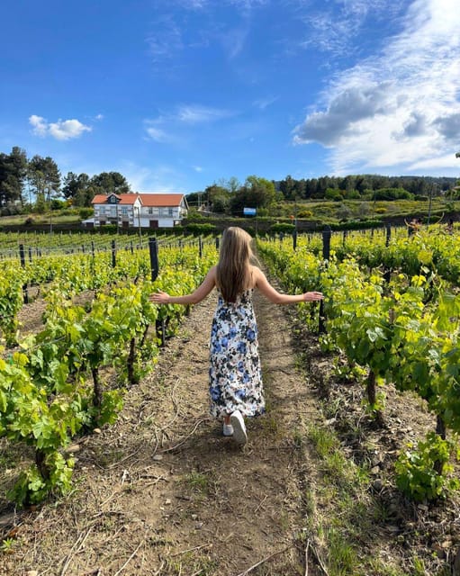 Porto: Douro Valley Tour with 2 Wineries, Lunch and Cruise - What to Bring, What to Leave Behind, and How to Dress