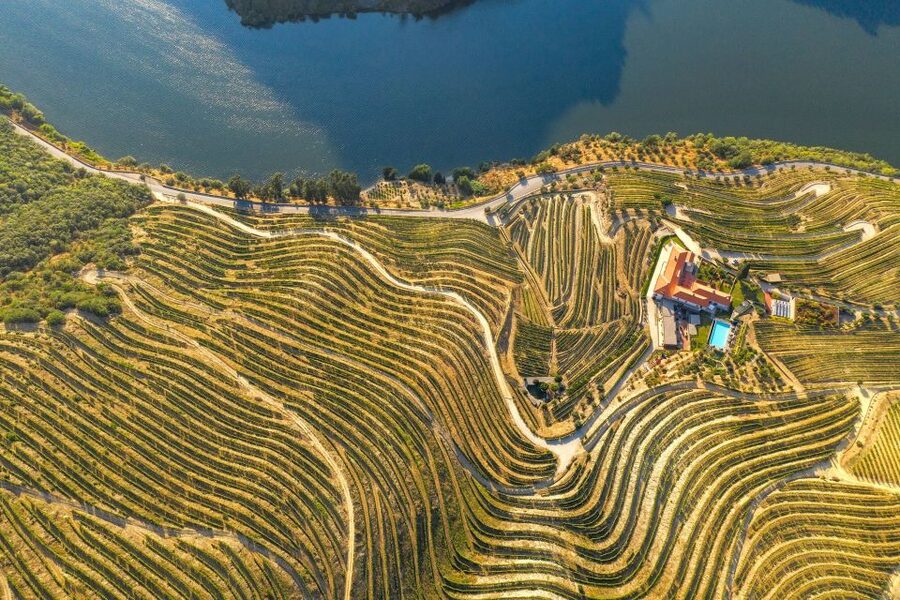 Porto: Douro Valley Tour with Lunch, Boat Cruise & Tastings - Wine Tastings Plus Lunch Pairing in a Cellar Setting