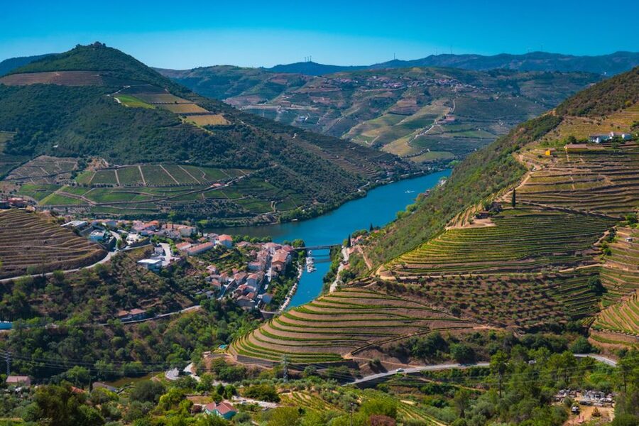 Porto: Douro Valley Tour with Lunch, Boat Cruise & Tastings - Pinhão: Where the River and Vineyards Feel Closest