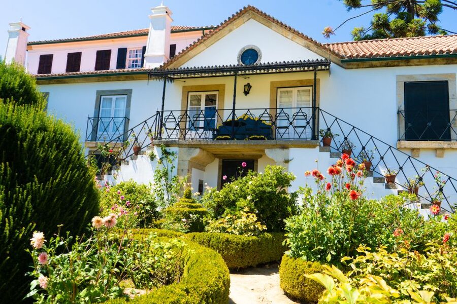 Porto: Douro Valley Tour with Lunch, Boat Cruise & Tastings - Olive Oil Tasting Adds a Local Twist