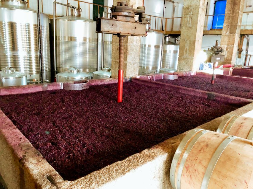 Porto: Douro Valley Tour with Wine Tasting, Cruise and Lunch - Should you book this Porto to Douro Valley tour with wine tasting, cruise, and lunch?