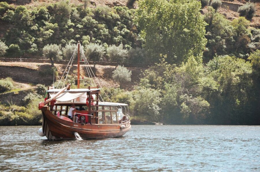 Porto: Douro Valley Tour with Wine Tasting, Cruise and Lunch - Getting through the day: motion sickness, bus comfort, and staying sharp