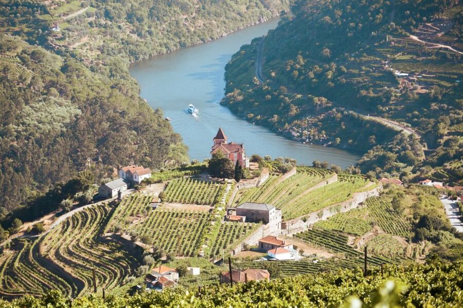 Porto: Douro Valley Tour with Wine Tasting, Cruise and Lunch - Winery Stop 1: Port tastings with real-making context