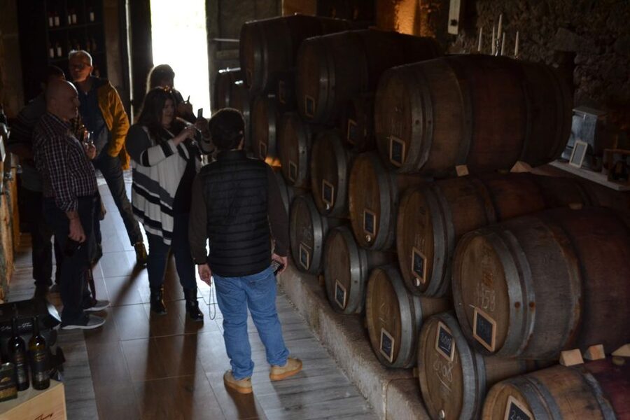 Porto: Douro Valley Vineyards Tour with Lunch & River Cruise - The Douro Valley day trip that trades stress for real wine time