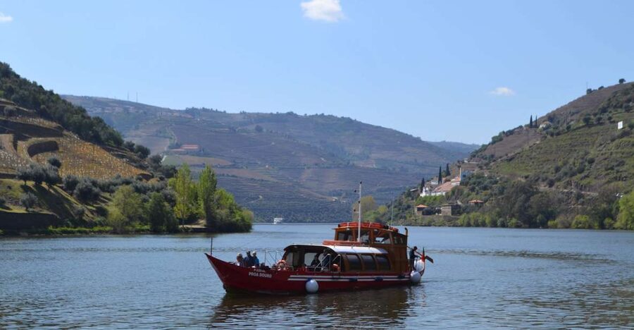 Porto: Douro Valley Vineyards Tour with Lunch & River Cruise - Lamego port tasting: where the story gets practical